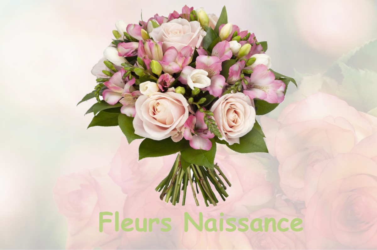 fleurs naissance WILLERONCOURT