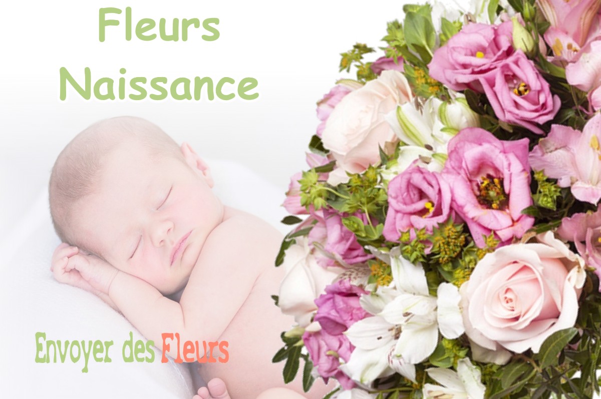 lIVRAISON FLEURS NAISSANCE à WILLERONCOURT